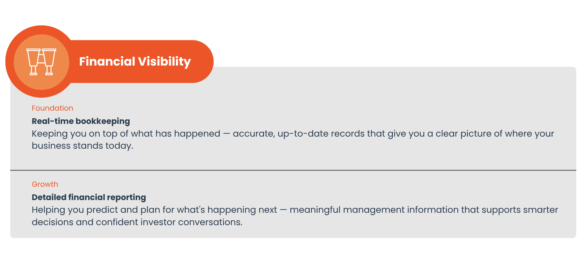 Financial visibility infographic